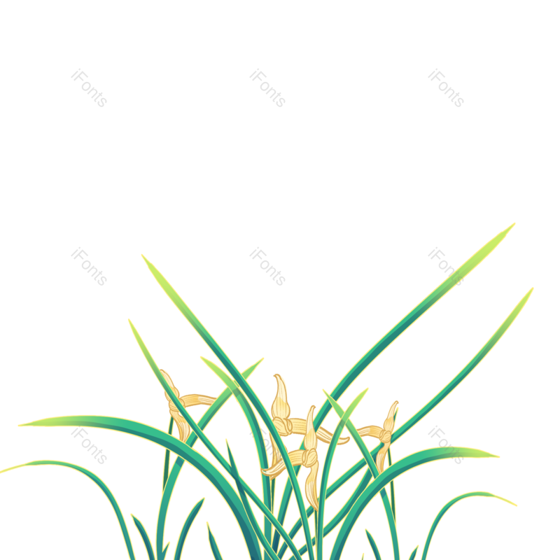 叶子图片,装饰元素,夏天PNG,绿叶免抠素材